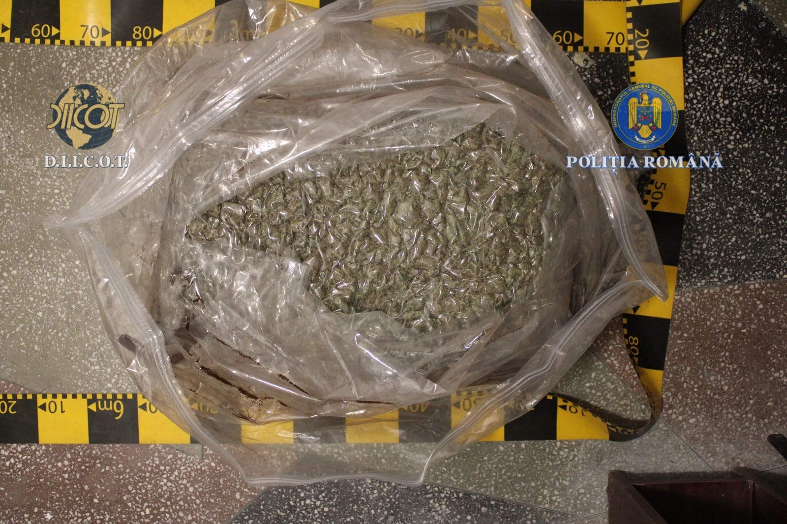  31 de kilograme de cannabis, cărate cu trollerele pe stradă în Botoșani, la doi pași de granița cu Ucraina