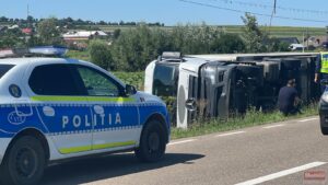 Cum a reușit o viespe să răstoarne un TIR de 40 de tone pe un drum din Botoșani