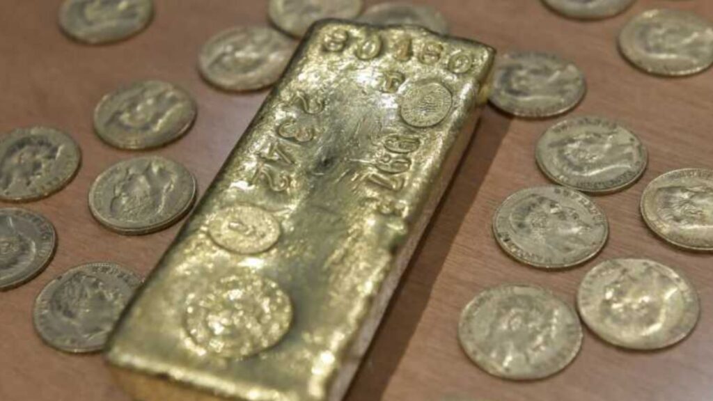  Un bărbat a găsit o adevărată comoară în timp ce săpa o groapă în grădina casei sale din Franța