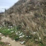 Opriți distrugerea Cetății getice de pe Dealul Cătălina de la Cotnari!