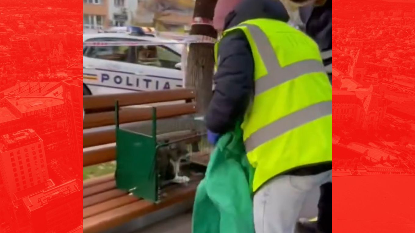 VIDEO | Motanul Motansky, salvat de pompieri și polițiști dintr-un apartament grav avariat