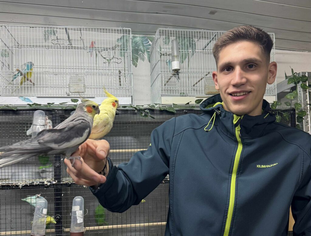  Un student de la Medicină Veterinară a transformat un colț de casă într-un paradis al păsărilor exotice. „Cel mai trist e atunci când pierd un animăluț”