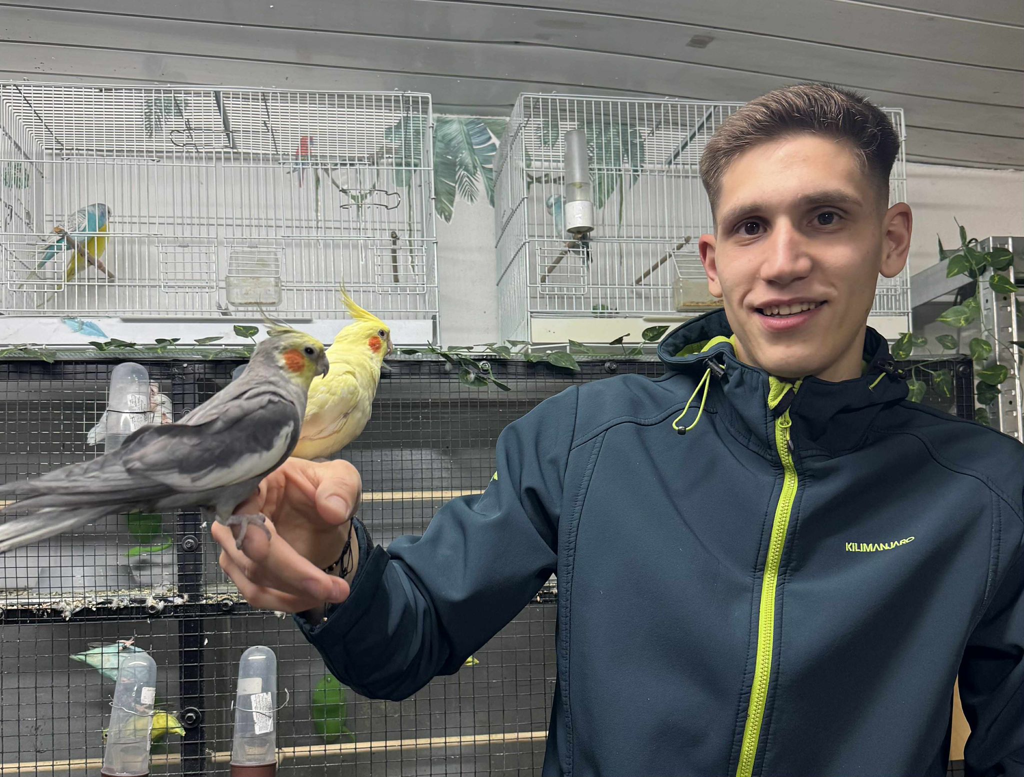 Un student de la Medicină Veterinară a transformat un colț de casă într-un paradis al păsărilor exotice. „Cel mai trist e atunci când pierd un animăluț”