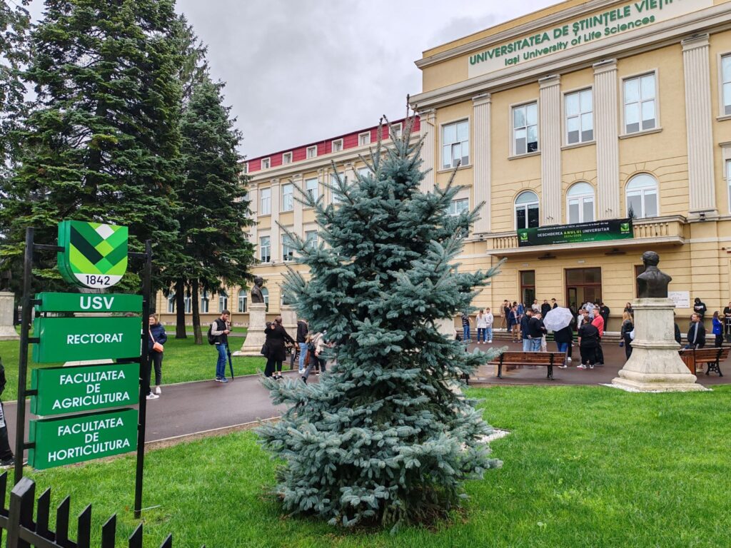  Secretele lansării unei afaceri, dezvăluite studenților de la USV de două experte în consultanță pentru startup-uri