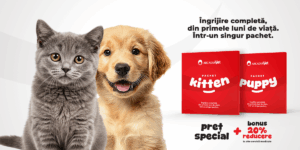 Îngrijire completă pentru animăluțul tău, într-un singur pachet, la Arcadia Vet