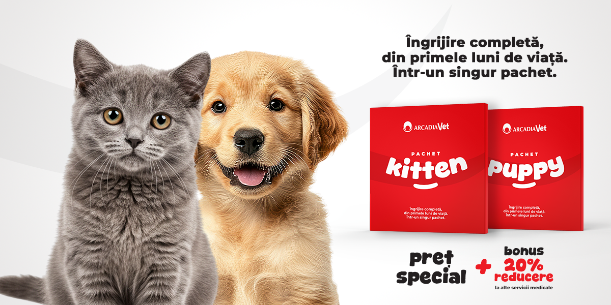 Îngrijire completă pentru animăluțul tău, într-un singur pachet, la Arcadia Vet