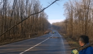 Drum național din Iași blocat de arborii doborâți. DRDP intervine pentru siguranța șoferilor VIDEO