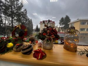 Brad natural ornat eco versus brad artificial: avantaje și dezavantaje. Sfaturi utile și explicații științifice de la experți USV Iași