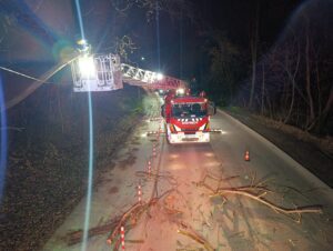 Intervenție a pompierilor pentru degajarea unui arbore pe șoseaua Ciric