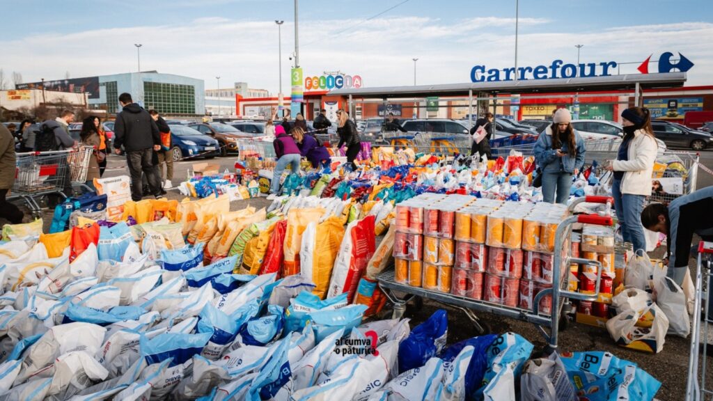  Campanie de ajutor pentru animăluțele fără stăpân: „Ai cumva o păturică?”