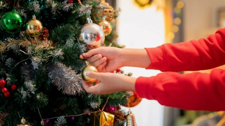 Nu cumpăra bradul înainte să vezi aceste 5 sfaturi esențiale – atenție la panglică! Ce informații are eticheta