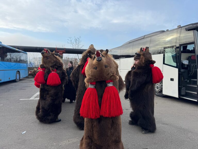 VIDEO | RO-ALERT în Păcurari: „Urșii” de la Comănești au ajuns la Iași. Cel mai vechi urs colindă de 54 de ani