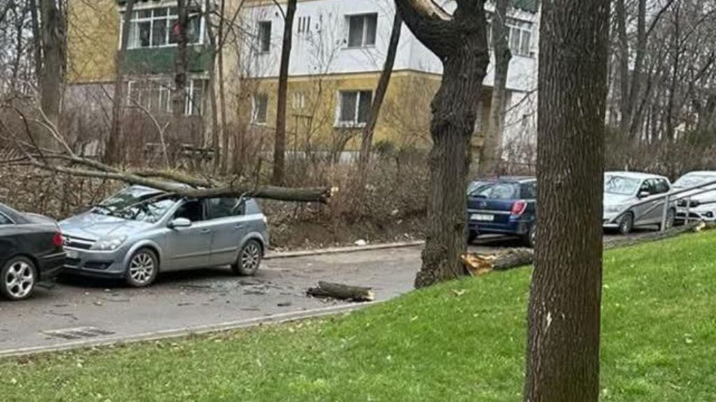  Vântul puternic a pus la muncă pompierii ieșeni: zeci de intervenții într-o singură zi, mașini avariate
