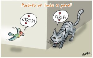 Ghid de înțelepciune strămoșească (II)