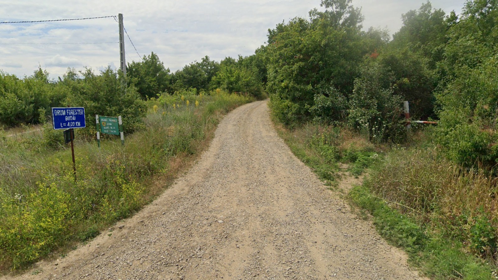  Ce se schimbă în pădurile Iașului în 2026? Amenajarea ca parc a unei păduri de lângă oraș nu este singura investiție anunțată