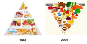 Nutriționiștii din Iași salută noua piramidă alimentară, una „răsturnată” față de cea veche. Studii de ultimă oră spun că dieta mediteraneană reprezintă modelul alimentar de viitor