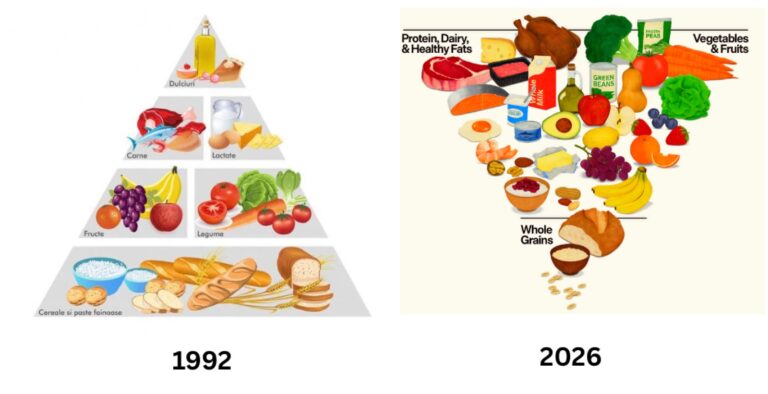 Nutriționiștii din Iași salută noua piramidă alimentară, una „răsturnată” față de cea veche. Studii de ultimă oră spun că dieta mediteraneană reprezintă modelul alimentar de viitor