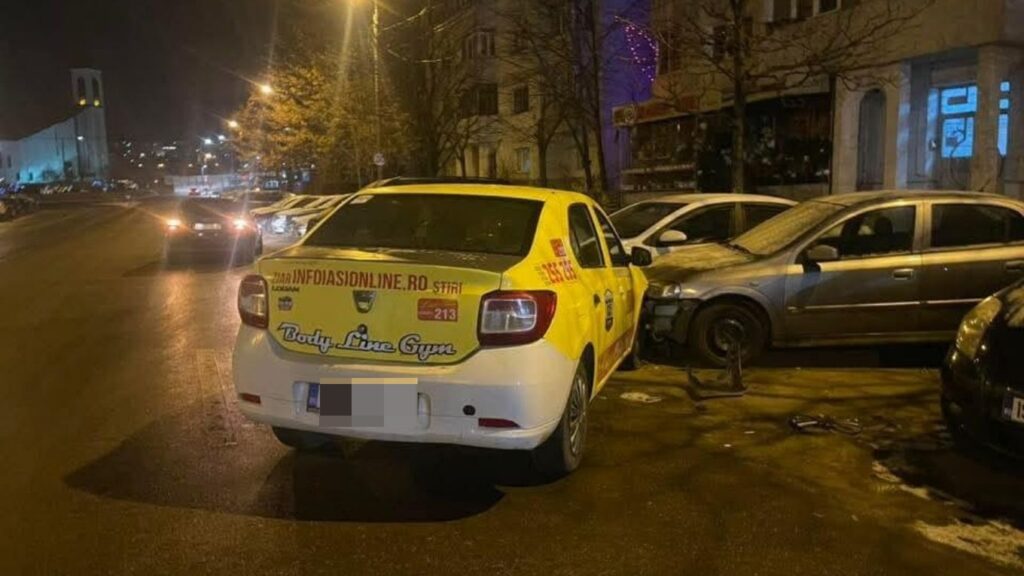  accident zimbru (1) (1)