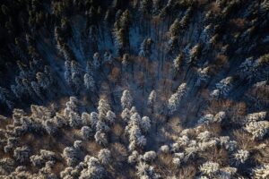 FOTO | Locurile fermecate din poeziile lui Eminescu există în realitate: Codrii de Aramă și Pădurea de Argint pot fi vizitate în Neamț