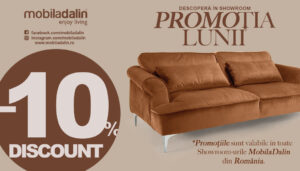 INTERVIU | Cum s-a schimbat profilul cumpărătorului de mobilier în Iași și ce înseamnă asta pentru producătorii români