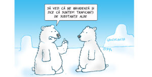 Discuție între doi urși polari din Groelanda