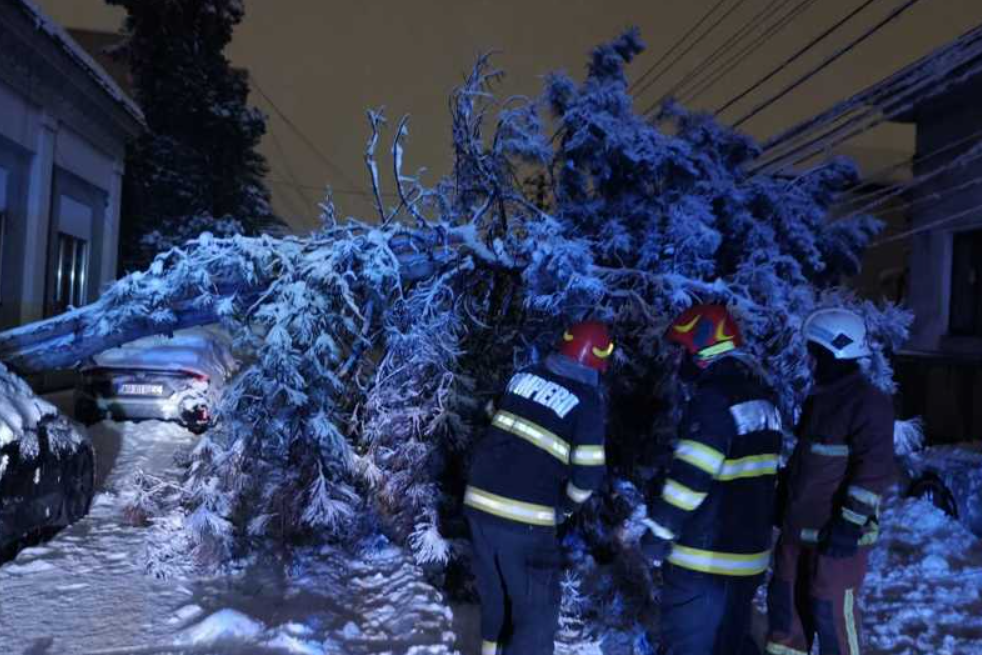  Aproape 30 de autovehicule rămase înzăpezite și peste 170 de arbori căzuți în urma ninsorilor abundente VIDEO