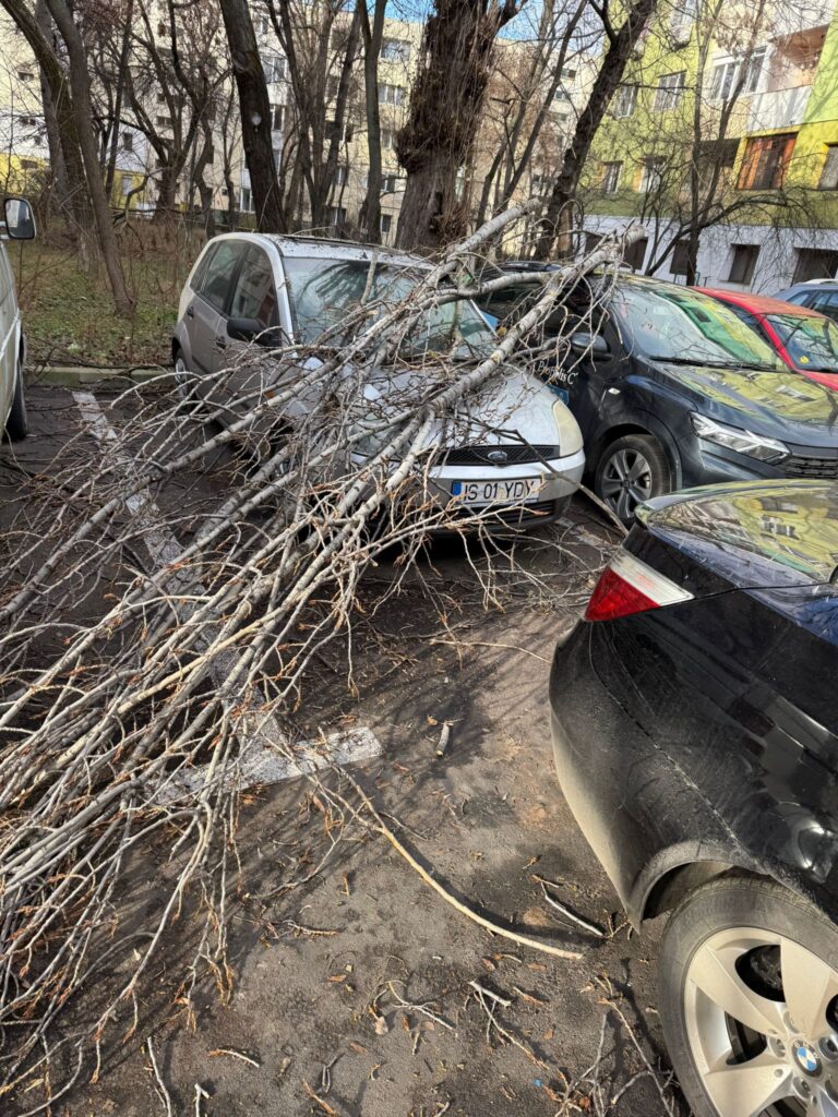  masina avariata copac