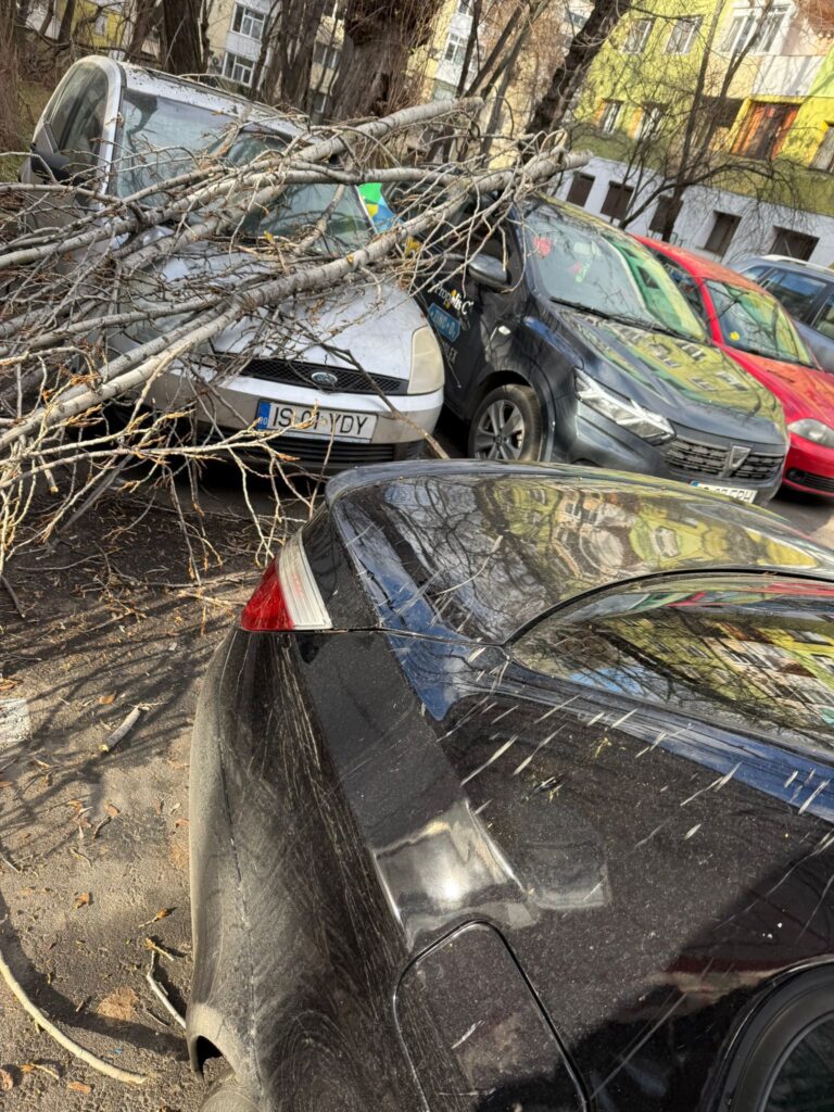  WhatsApp Image 2026-02-10 at 16.38.22 (1)