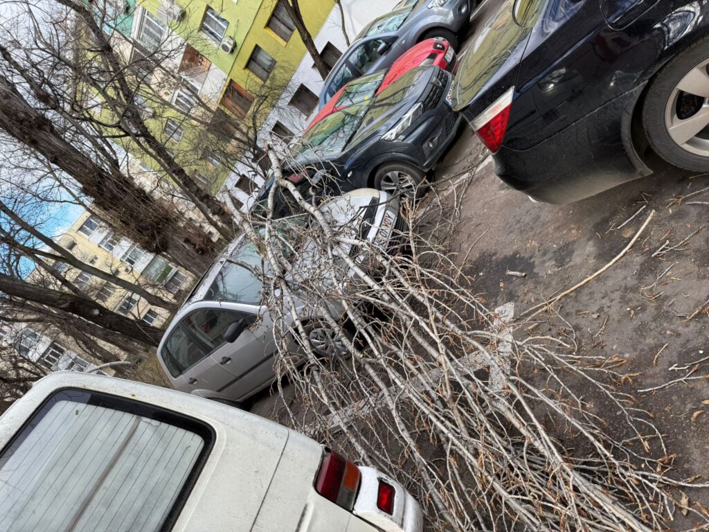  WhatsApp Image 2026-02-10 at 16.38.22