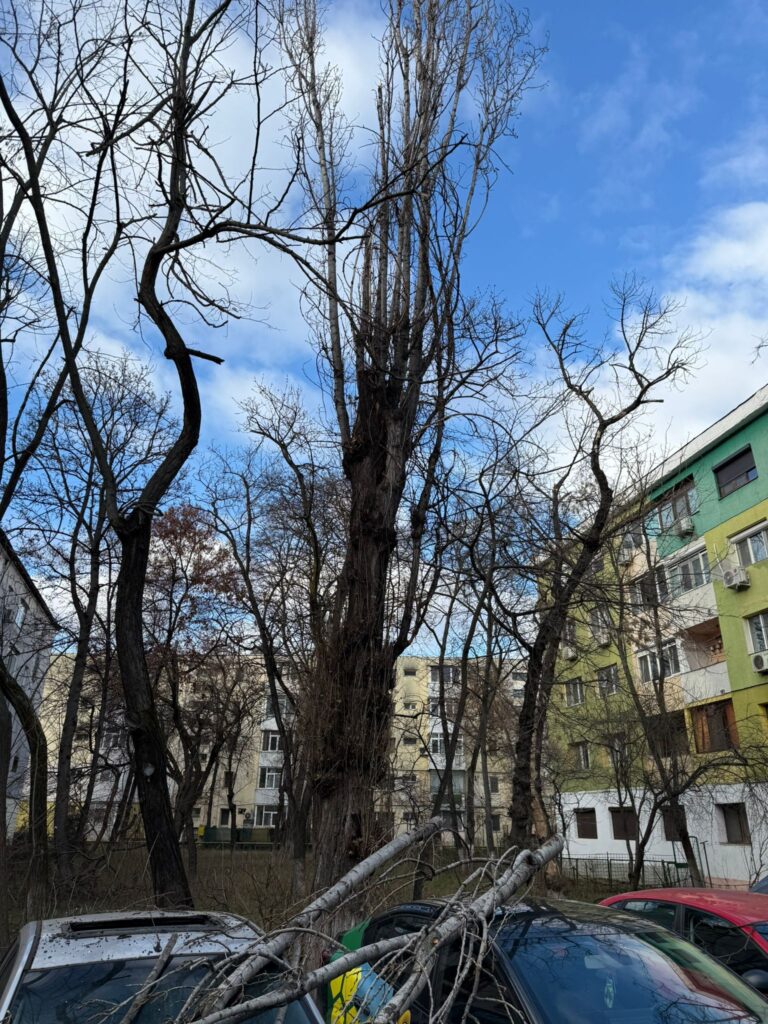  WhatsApp Image 2026-02-10 at 16.38.22 (2)