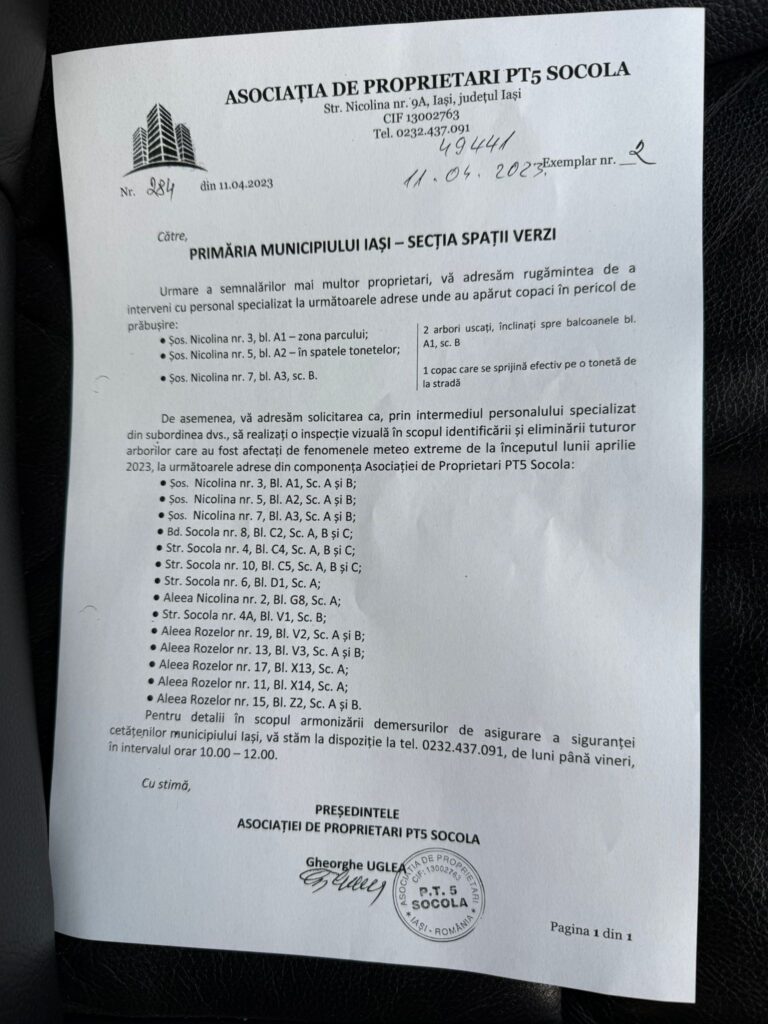  WhatsApp Image 2026-02-10 at 16.38.23