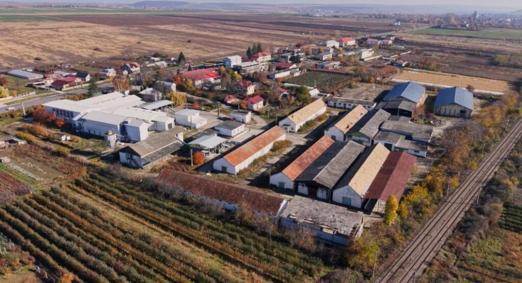  WhatsApp Image 2026-02-12 at 16.55.41 (2)