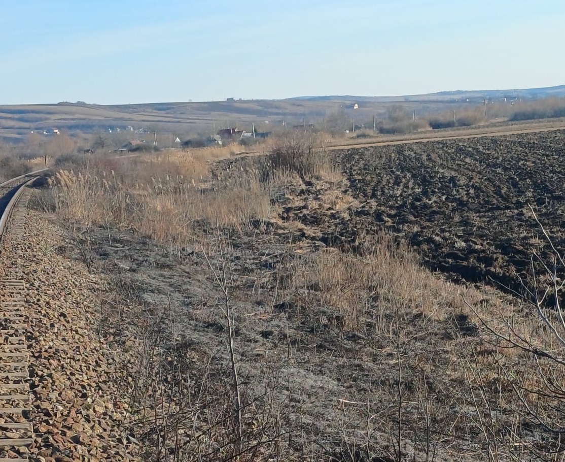  Pompierii intervin în județul Iași pentru stingerea unui incendiu de vegetație uscată