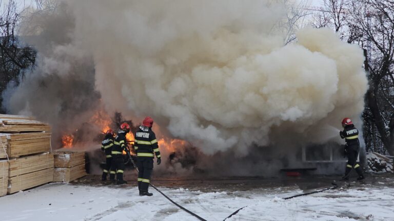 FOTO Incendiu la o fabrică de cherestea din Iași. Pompierii au intervenit pentru a limita extinderea focului