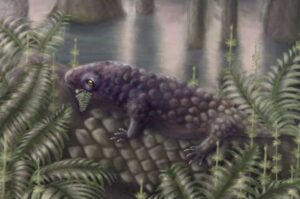 Fosile descoperite în Canada dezvăluie unul dintre primele animale de pe Terra care se hrăneau cu plante