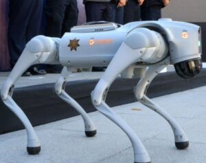 Câini-roboţi vor ajuta poliţia mexicană în timpul Cupei Mondiale 