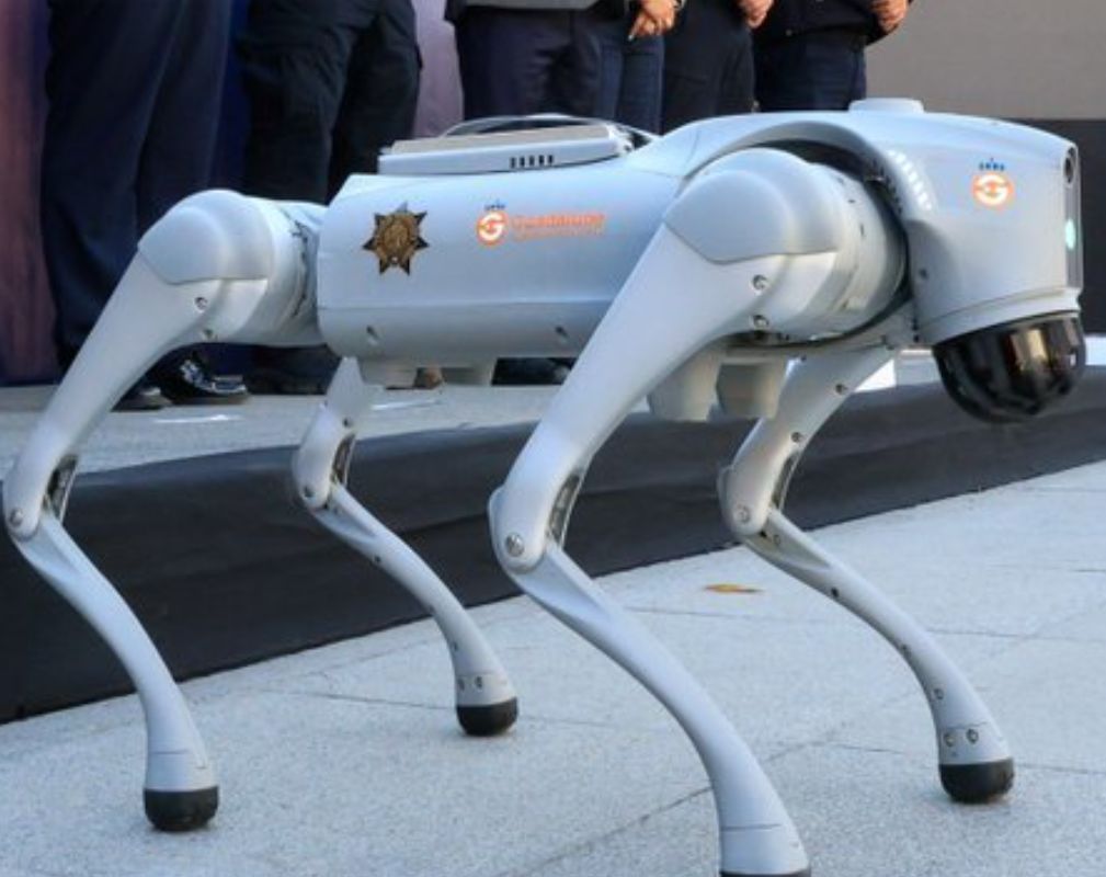  Câini-roboţi vor ajuta poliţia mexicană în timpul Cupei Mondiale 