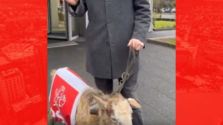 VIDEO | Un parlamentar AUR a mers să protesteze cu o capră purtând sigla PSD: „Asta simbolizează astăzi cel mai mare clan cu sinecuri şi membri de partid”