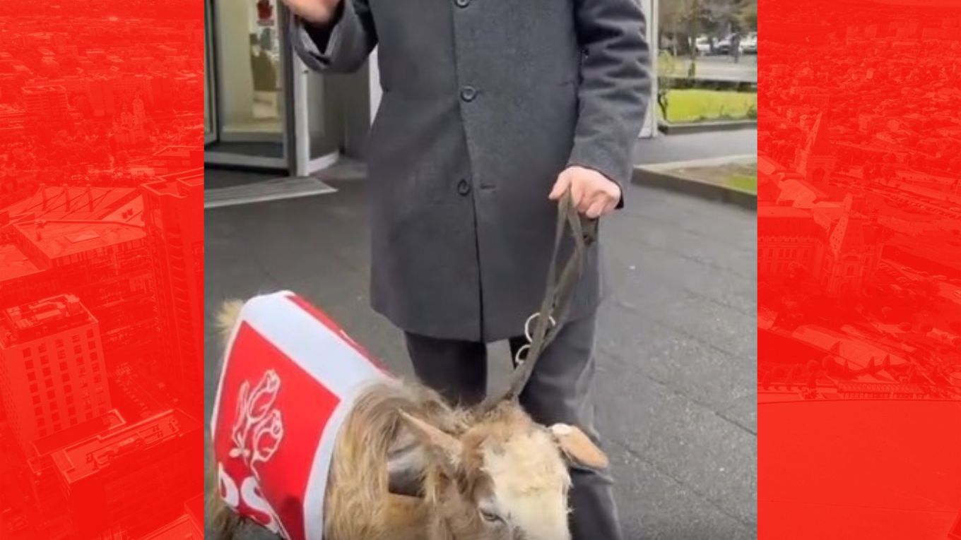  VIDEO | Un parlamentar AUR a mers să protesteze cu o capră purtând sigla PSD: „Asta simbolizează astăzi cel mai mare clan cu sinecuri şi membri de partid”