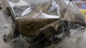 Resturi de dronă, găsite pe plaja din Mamaia/Ministrul Apărării afirmă că specialiştii vor vedea ce date pot fi recuperate în legătură cu traseul acesteia