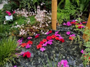 GALERIE FOTO | Exploziție de plante exotice, la Grădina Botanică Iași