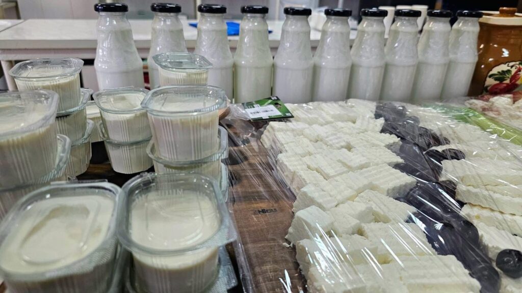  WhatsApp Image 2026-03-02 at 16.38.27 (3)