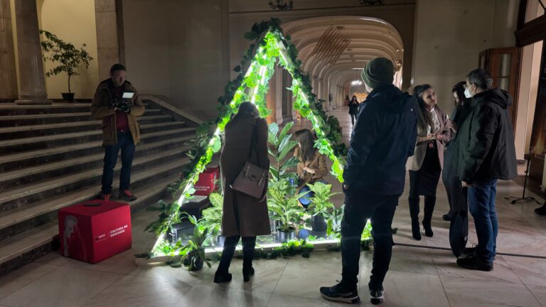 INEDIT Atinge frunzele și compune muzică! „The Singing Garden Symphony”, instalația multimedia de la Iași care transformă plantele în instrumente muzicale