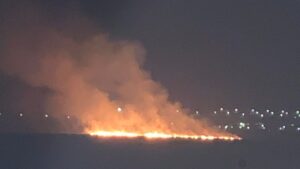 UPDATE | Incendiul violent izbucnit în rezervația naturală Delta Moldovei a fost lichidat. Aproximativ 10 hectare de stuf au fost cuprinse de flăcări