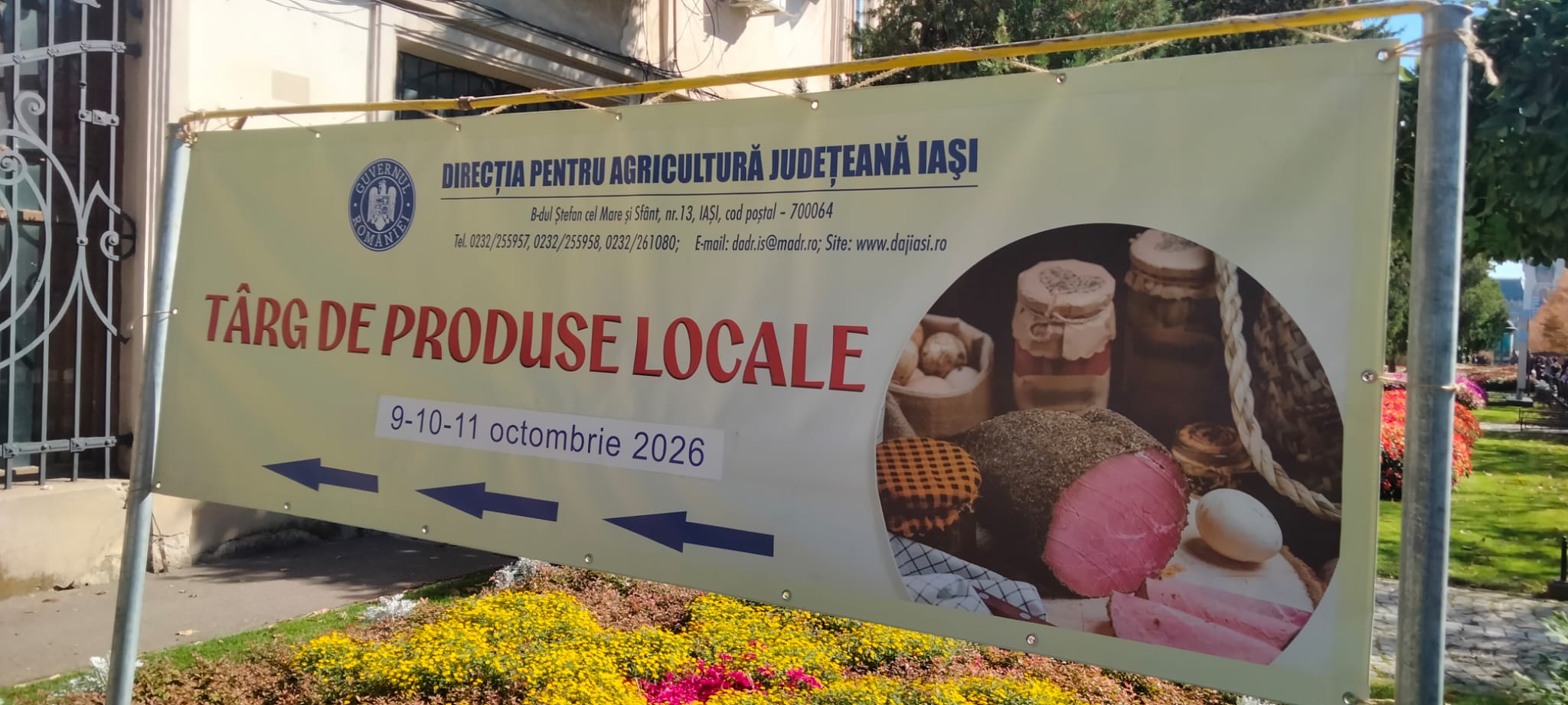 Controale la lemnarii din zona Dornei: 82 de sancțiuni, peste 74.000 de lei amenzi și 20,9 metri cubi de lemn confiscat
